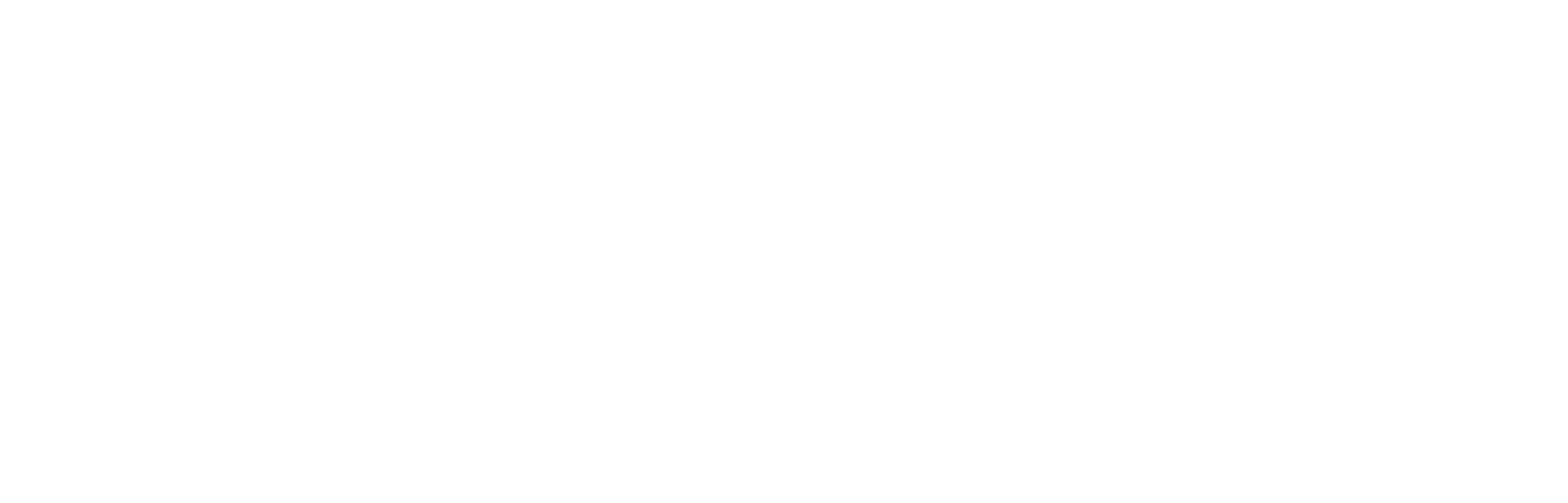 Developers Shore logo horizontal white@4x